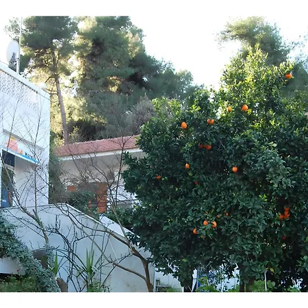 بيت ضيافة Orama 3*