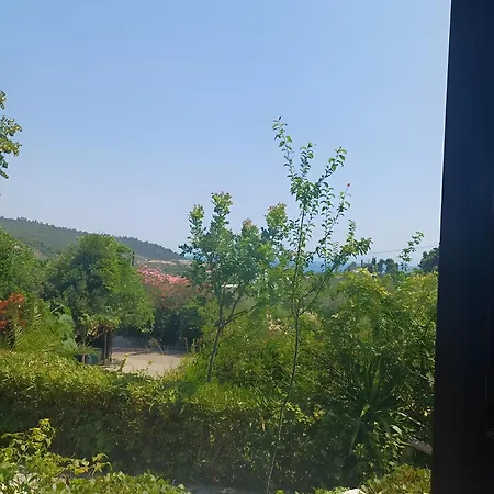 Orama Vasiliká