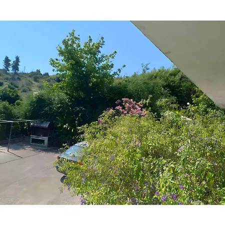 Orama 3*