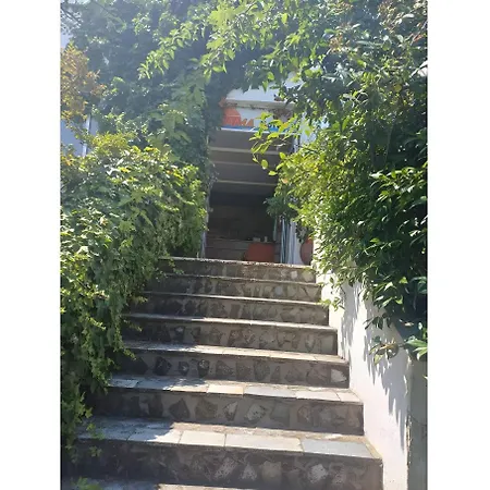 Orama 3*